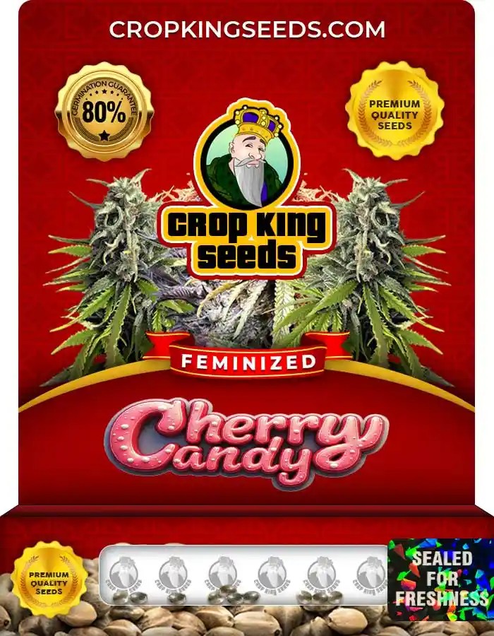 Cherry Candy Strain Feminized Marijuana Seeds