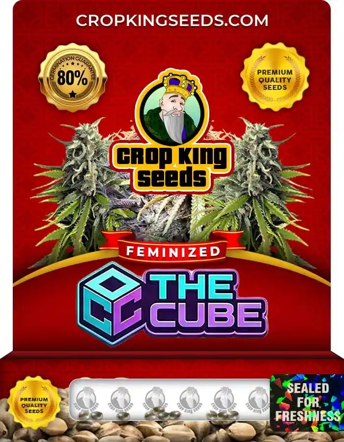 The Cube Strain Feminized Marijuana Seeds