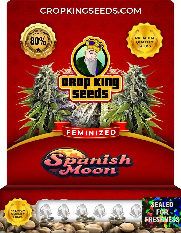 Spanish Moon Strain Feminized Marijuana Seeds