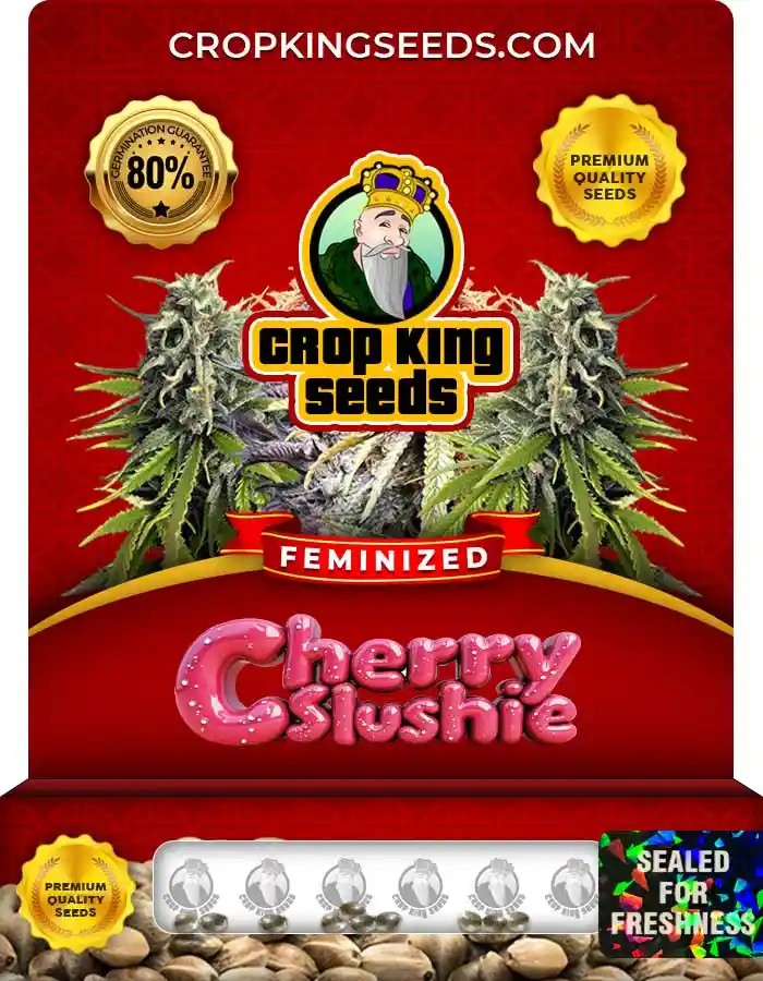 Cherry Slushie Strain Feminized Marijuana Seeds