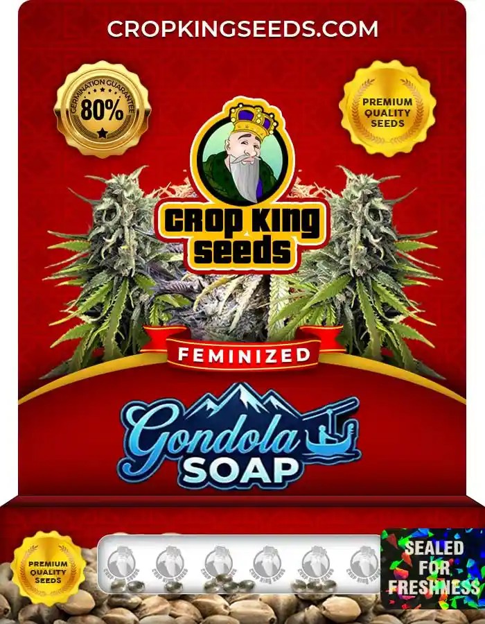 Gondola Soap Strain Feminized Seeds