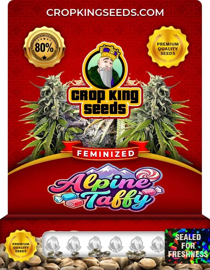 Alpine Taffy Strain Feminized Seeds