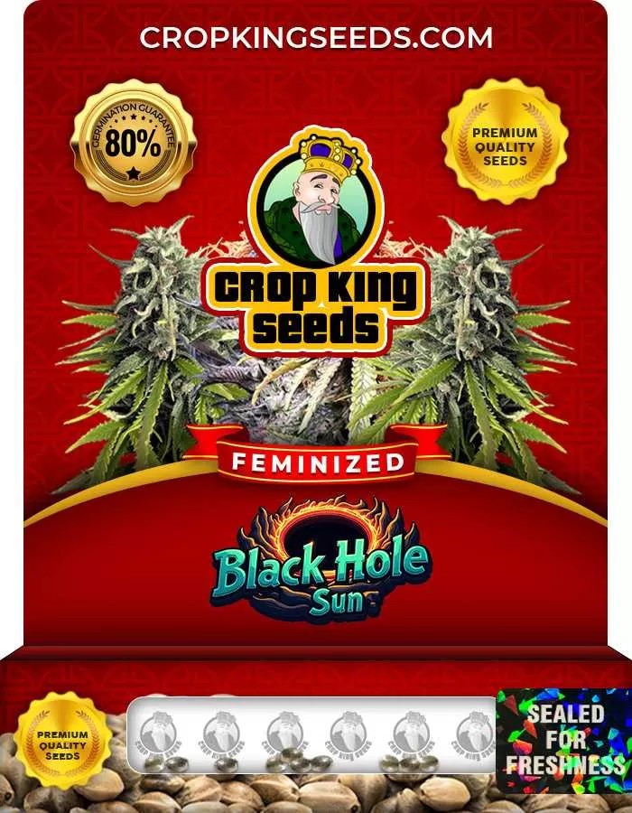 Black Hole Sun Strain Feminized Marijuana Seeds