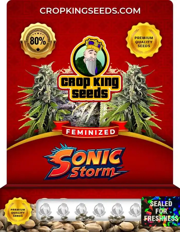 Sonic Storm Strain Feminized Seeds