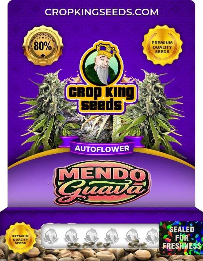 Mendo Guava Autoflower Seeds