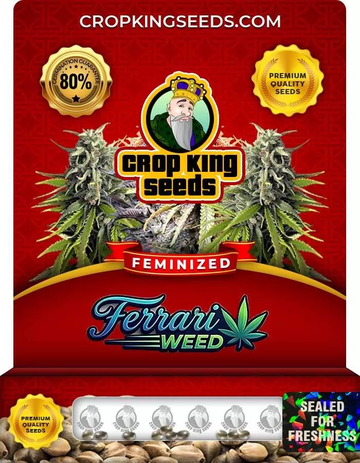 Ferrari Weed Feminized Seeds