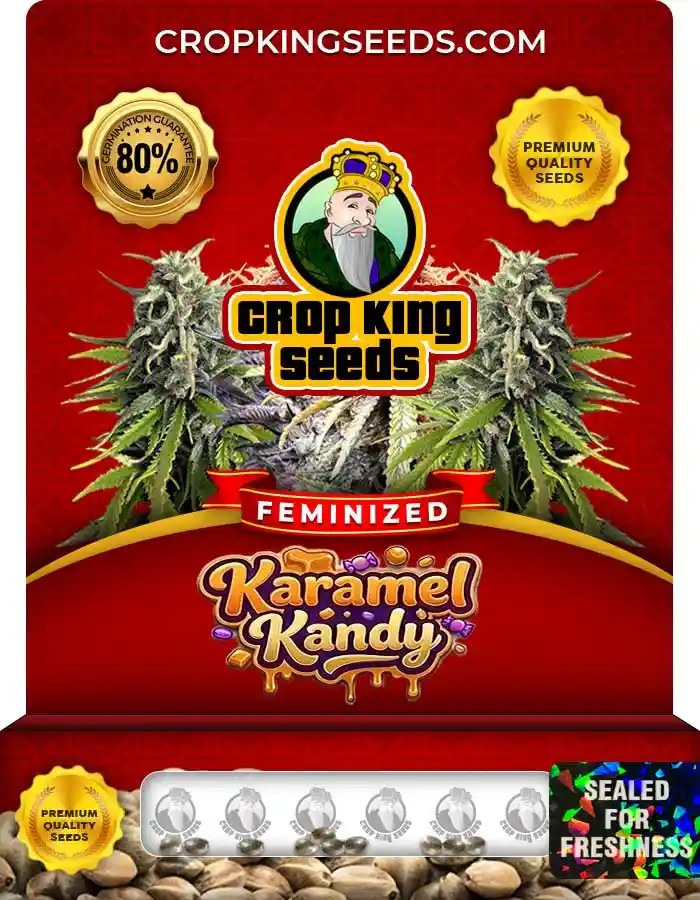 Karamel Kandy Strain Feminized Seeds
