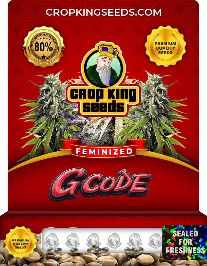 G Code Feminized Seeds