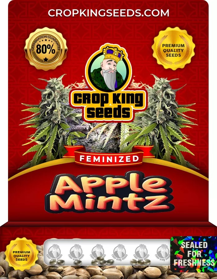 Apple Mintz Feminized Marijuana Seeds