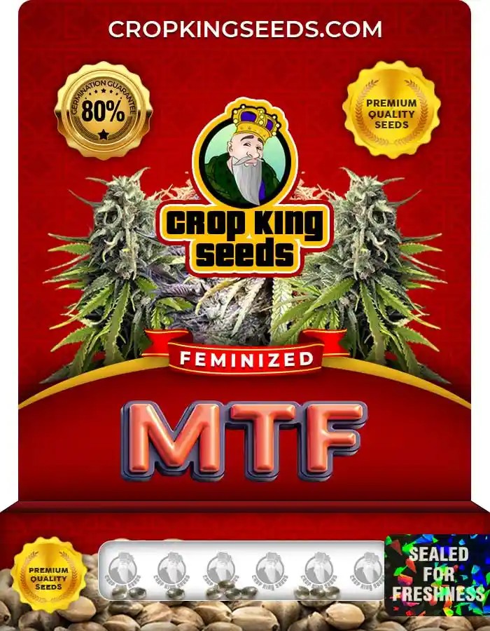MTF Strain Feminized Marijuana Seeds