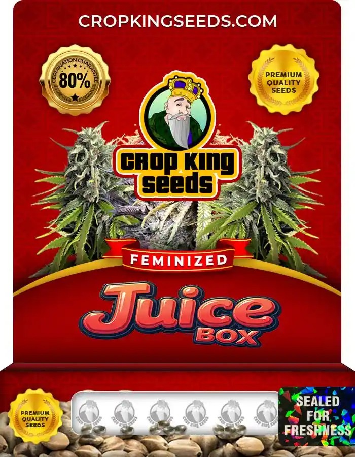 Juice Box Feminized Seeds