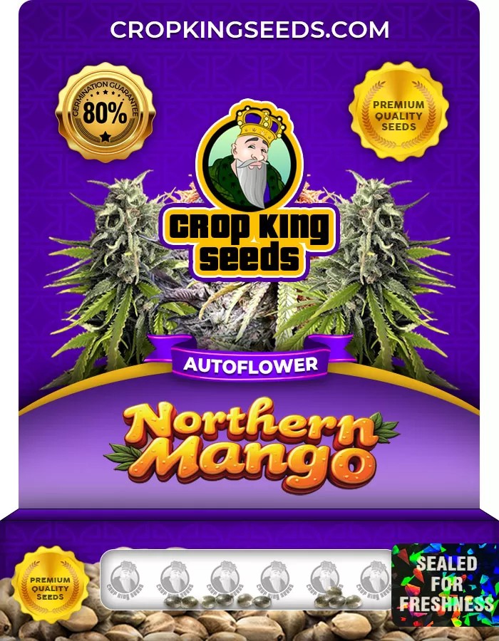 Northern Mango Autoflower Marijuana Seeds