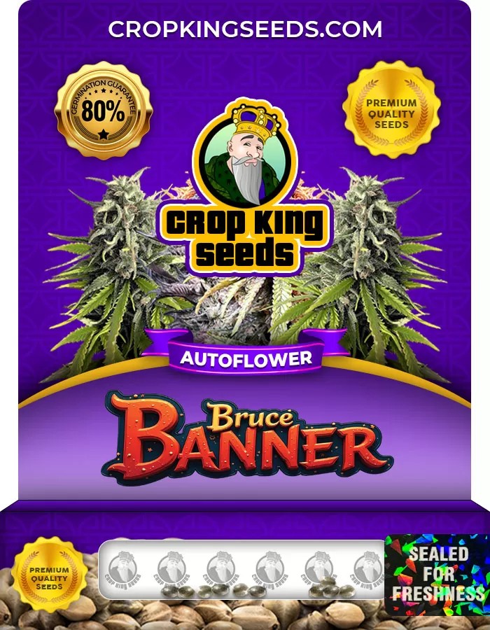 Bruce Banner Autoflowering Marijuana Seeds