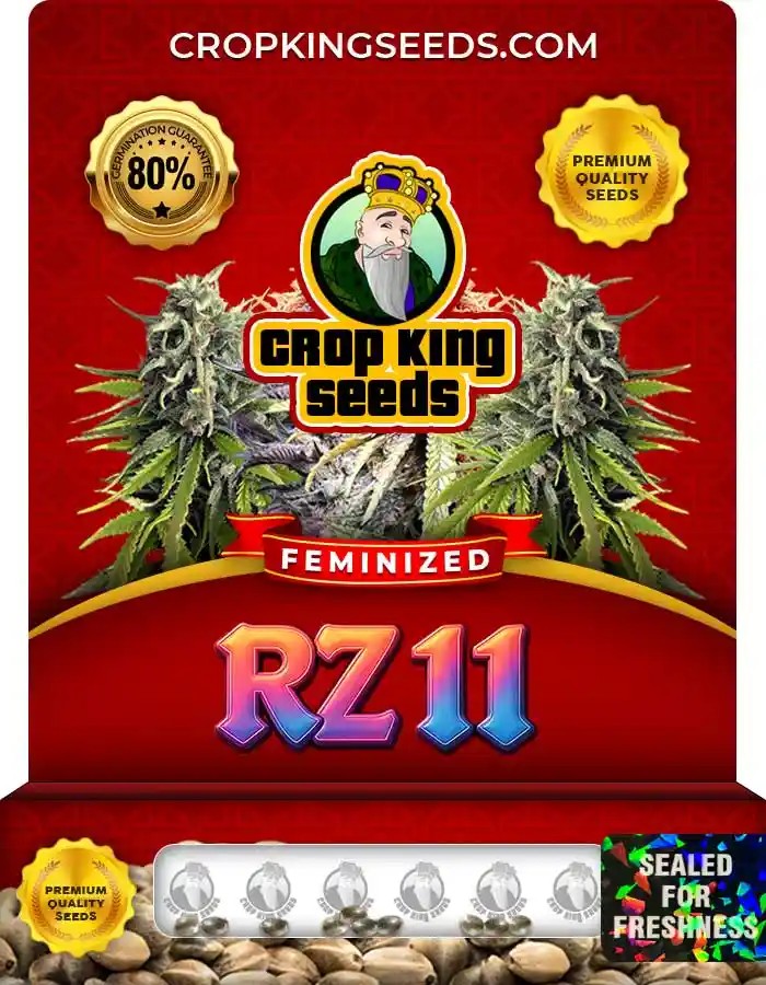 RZ 11 Strain Feminized Seeds