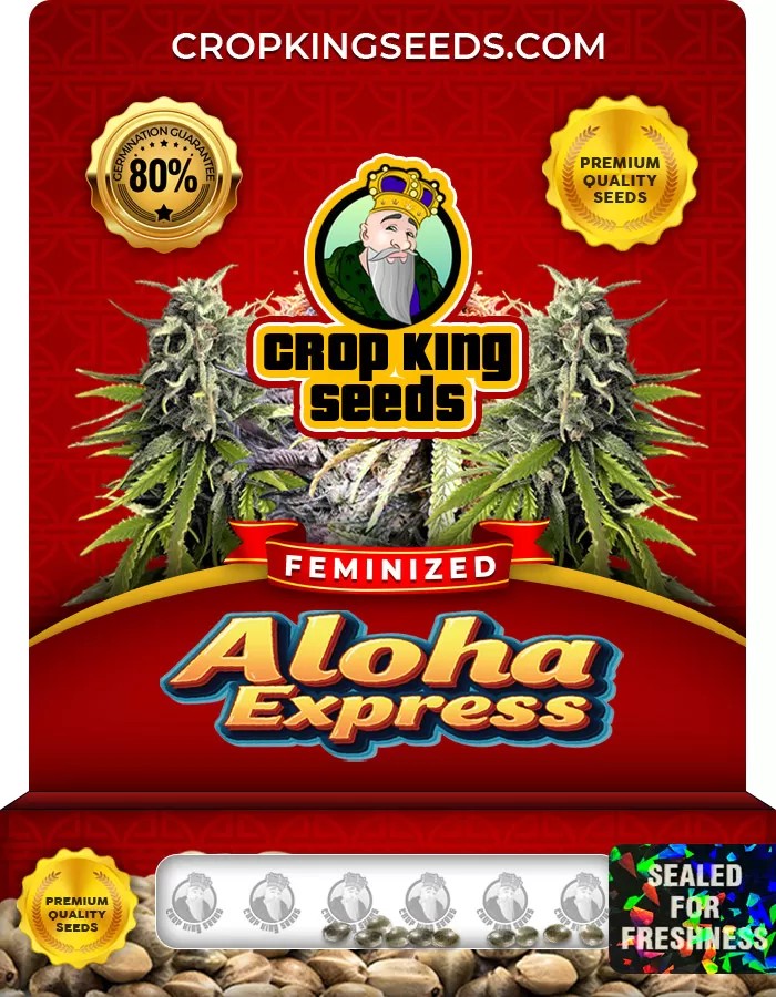 Aloha Express Feminized Marijuana Seeds