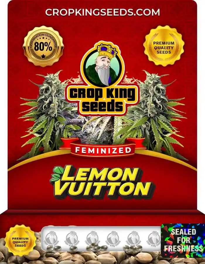 Lemon Vuitton Strain Feminized Marijuana Seeds