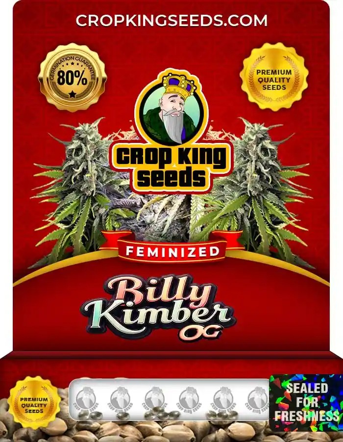 Billy Kimber OG Strain Feminized Marijuana Seeds