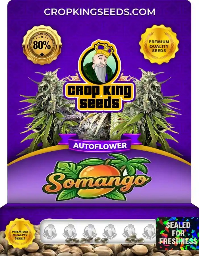 Somango Autoflower Seeds