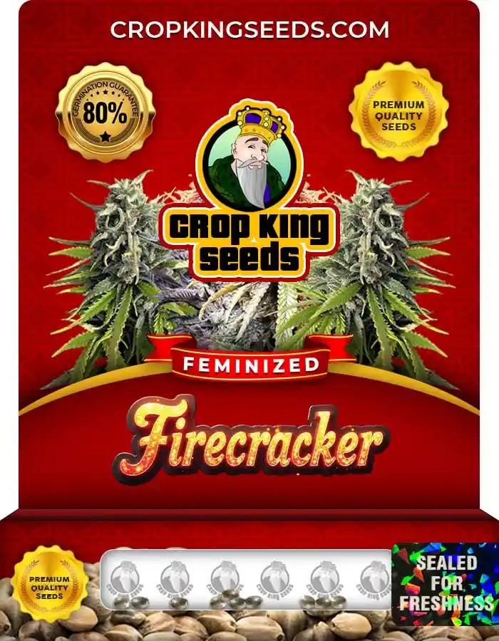Firecracker Feminized Seeds