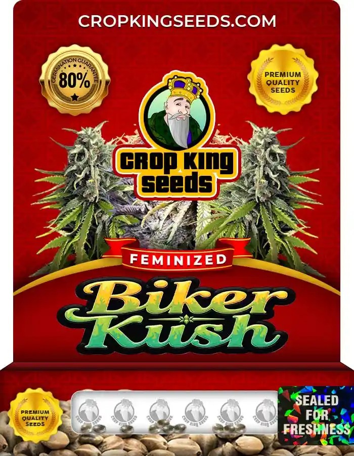 Biker Kush Feminized Marijuana Seeds