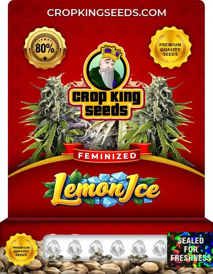 Lemon Ice Strain Feminized Marijuana Seeds