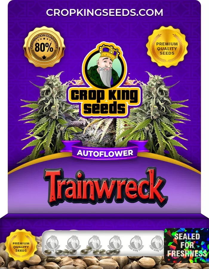 Trainwreck Strain Autoflowering Marijuana Seeds