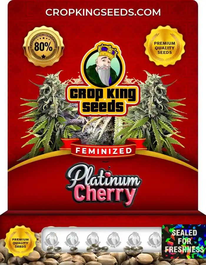 Platinum Cherry Feminized Seeds