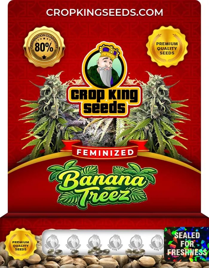 Banana Treez Strain Feminized Seeds