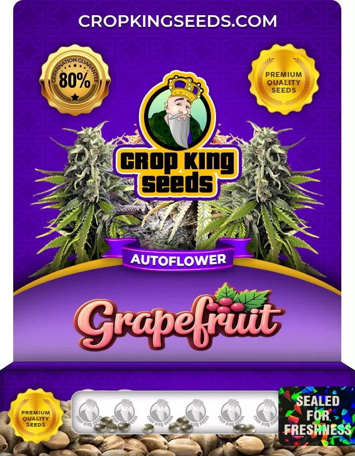 Grapefruit Autoflower Marijuana Seeds