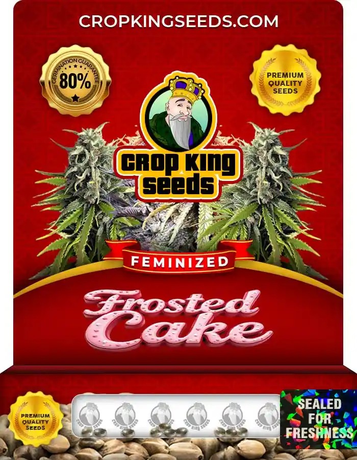 Frosted Cake Strain Feminized Marijuana Seeds