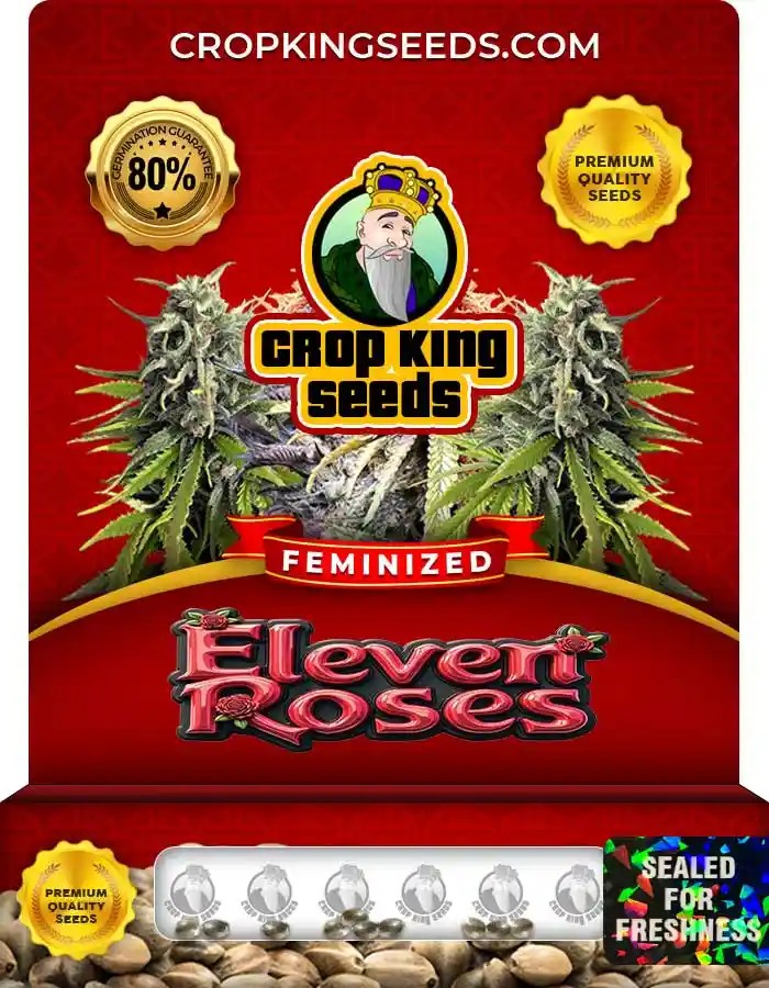 Eleven Roses Strain Feminized Marijuana Seeds