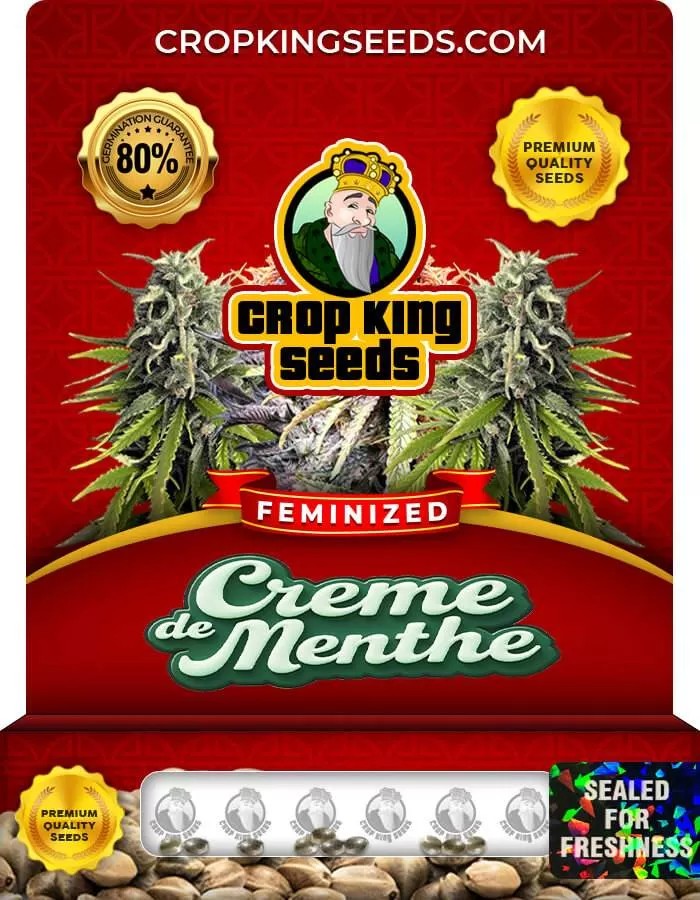 Creme De Menthe Strain Feminized Marijuana Seeds