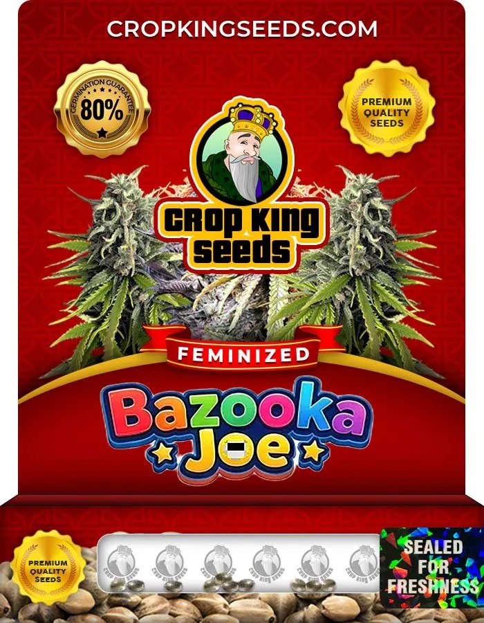 Bazooka Joe Strain Feminized Seeds