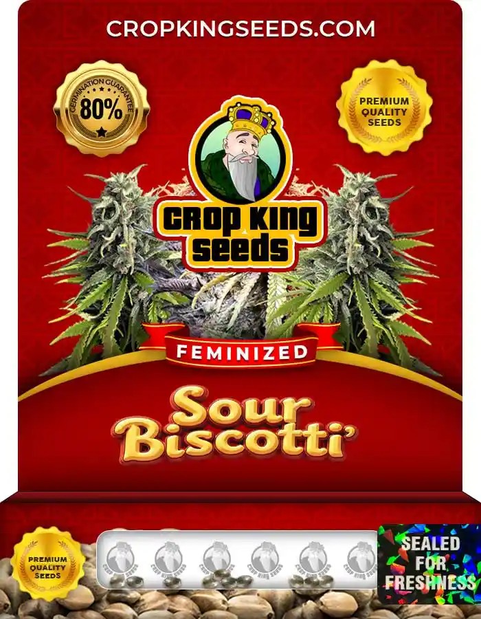 Sour Biscotti Feminized Seeds