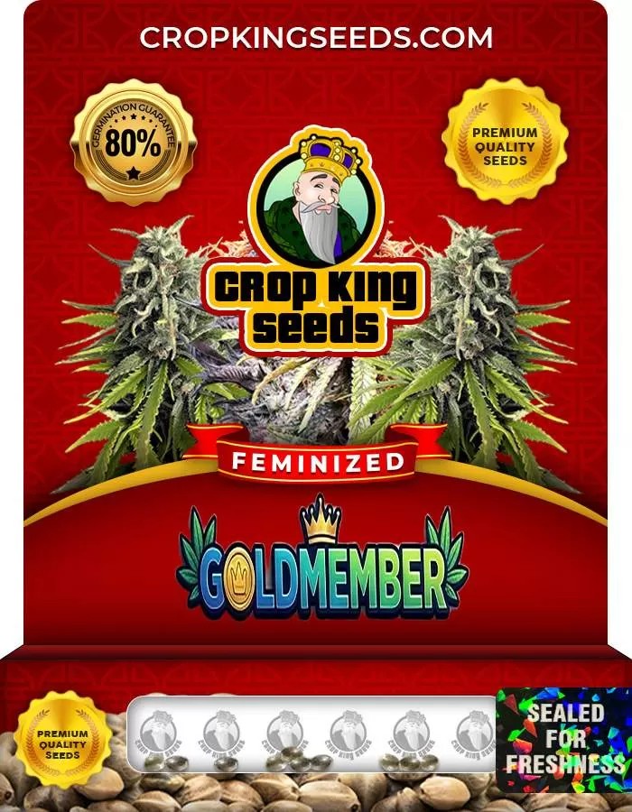 Goldmember Feminized Seeds