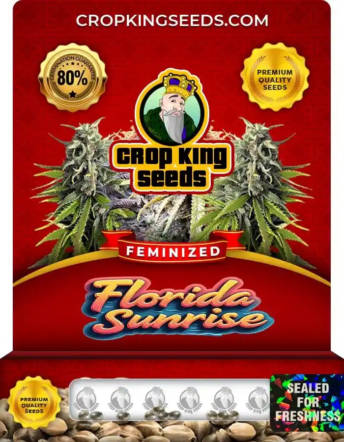 Florida Sunrise Strain Feminized Marijuana Seeds