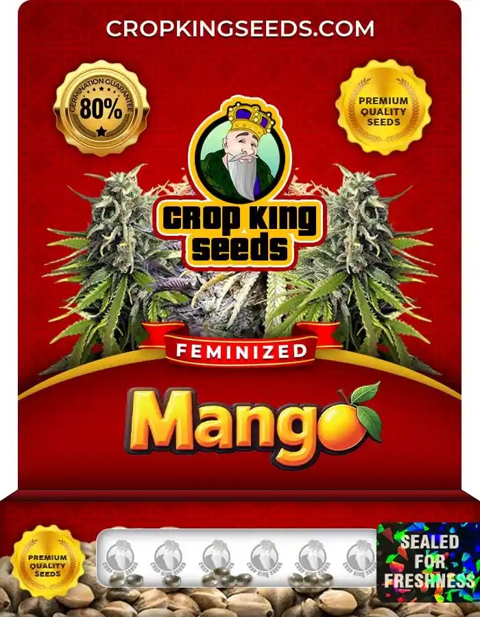 Mango Strain Feminized Marijuana Seeds