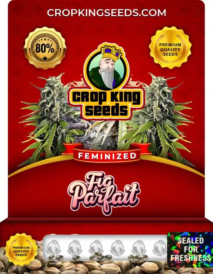 Fig Parfait Strain Feminized Seeds