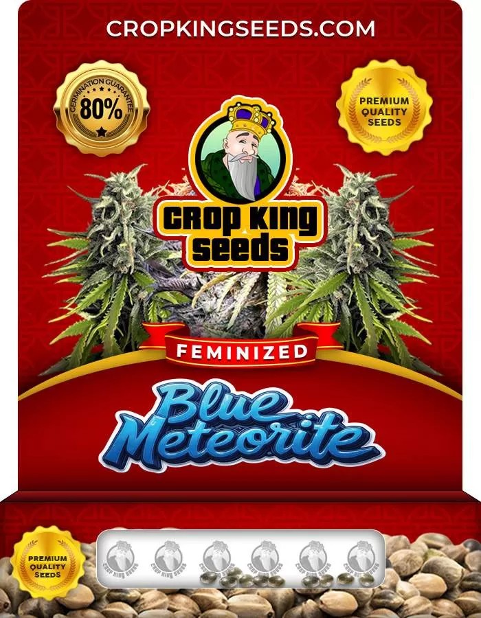 Blue Meteorite Strain Feminized Marijuana Seeds