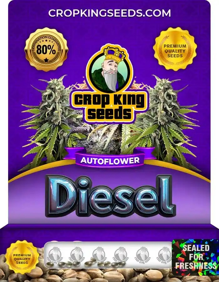 Diesel Strain Autoflowering Marijuana Seeds