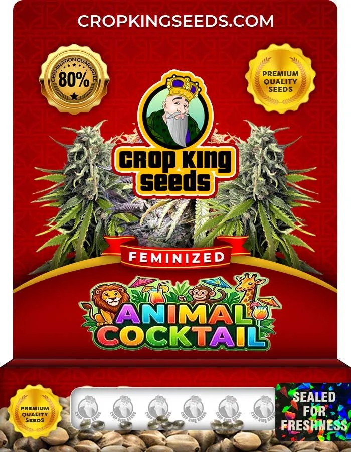 Animal Cocktail Strain Feminized Seeds