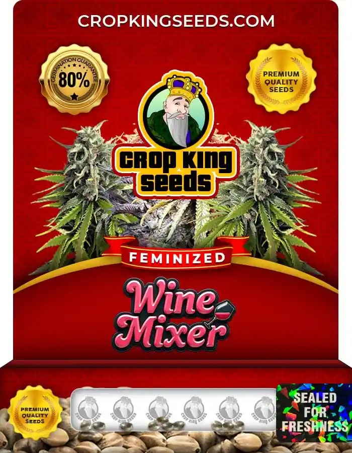 Wine Mixer Feminized Seeds