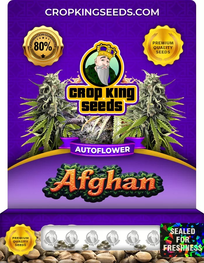 Afghan Autoflowering Marijuana Seeds
