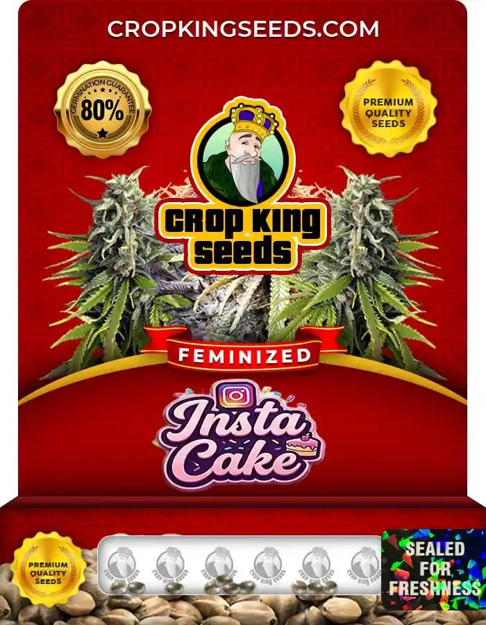 Insta Cake Feminized Seeds
