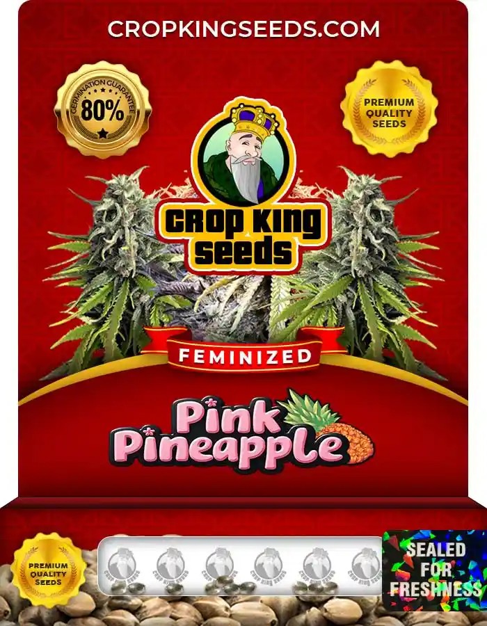 Pink Pineapple Feminized Seeds