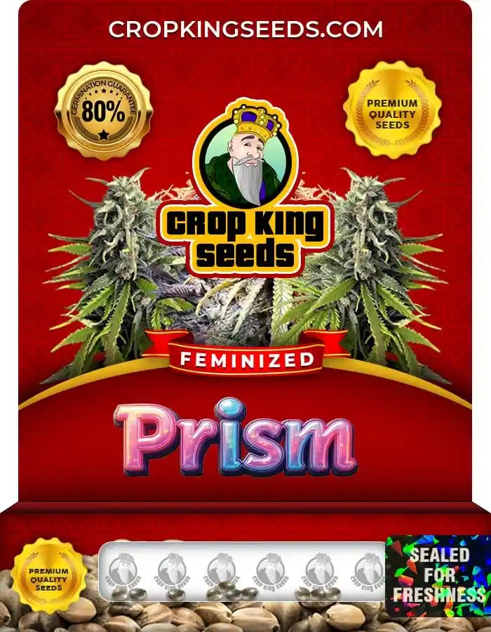 Prism Strain Feminized Marijuana Seeds