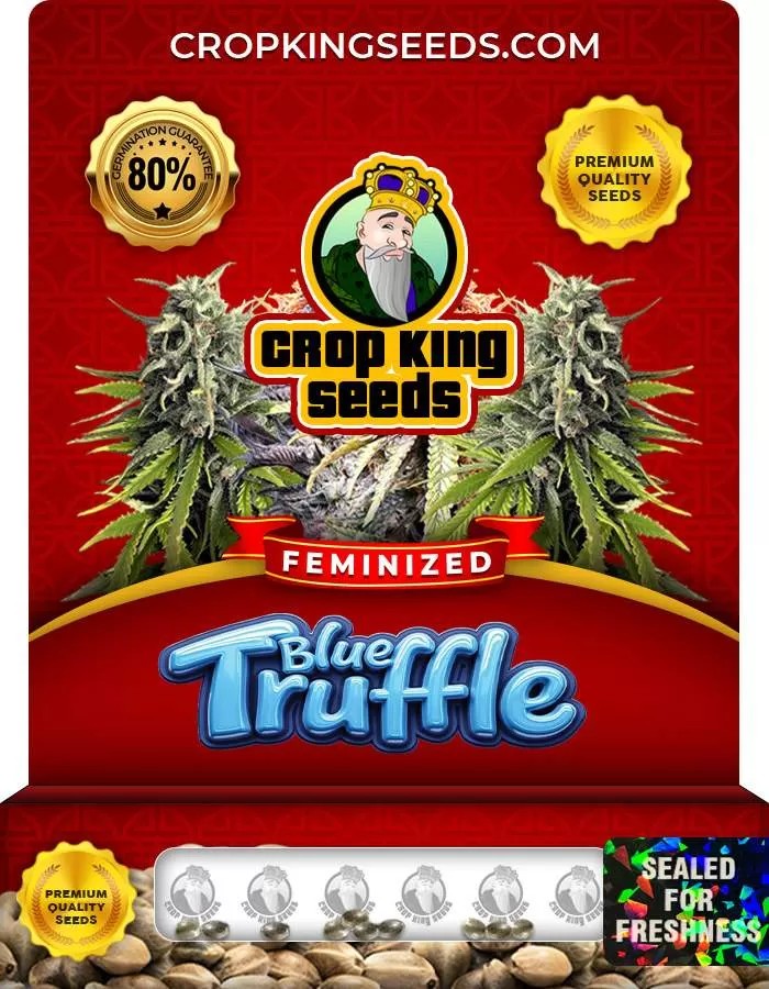 Blue Truffle Strain Feminized Marijuana Seeds