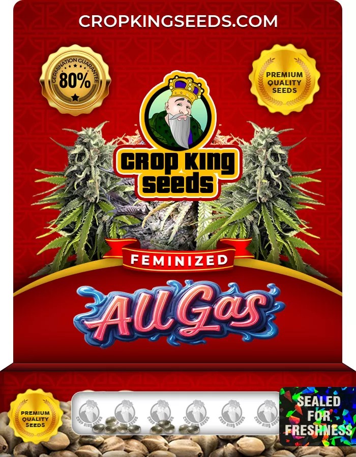 All Gas Feminized Marijuana Seeds