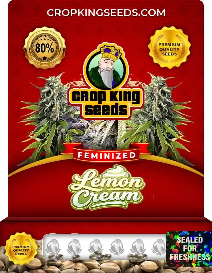 Lemon Cream Strain Feminized Marijuana Seeds
