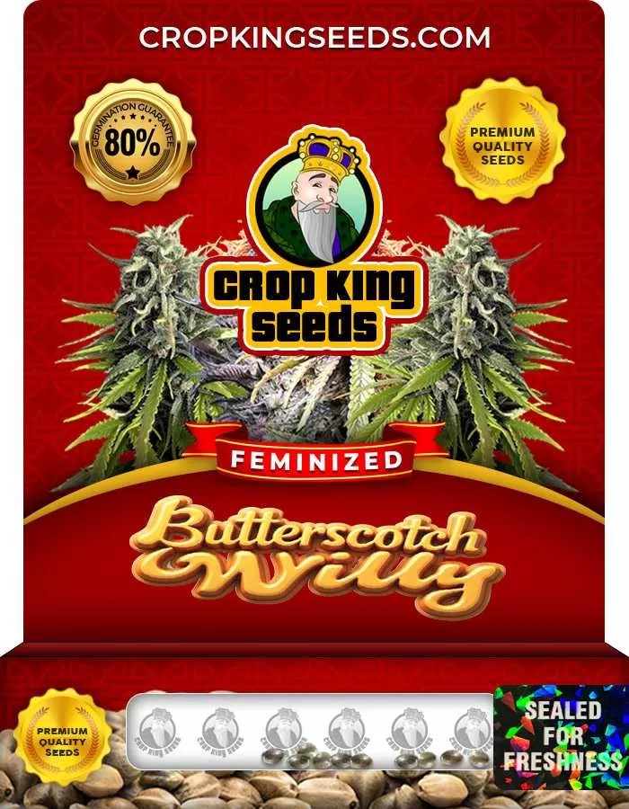 Butterscotch Willy Feminized Seeds
